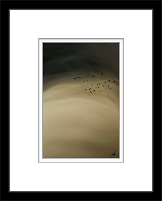 The Storm