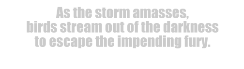 GOLABUK FINE ART | THE STORM